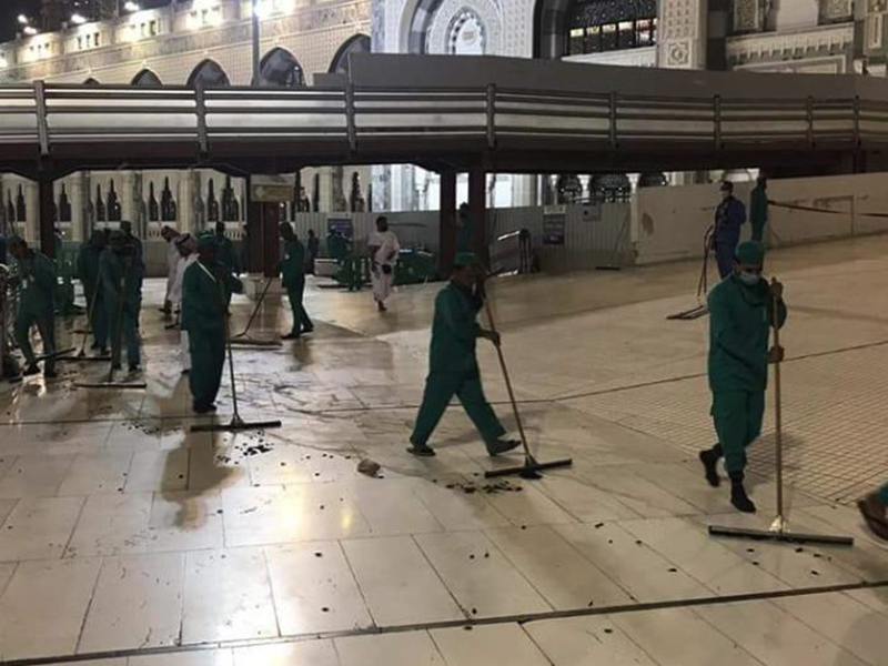 اضغط لمشاهدة الفيديو: رئاسة شؤون الحرمين تكشف عن سبب انتشار الحشرات بالحرم، وتوضح نتائج المكافحة